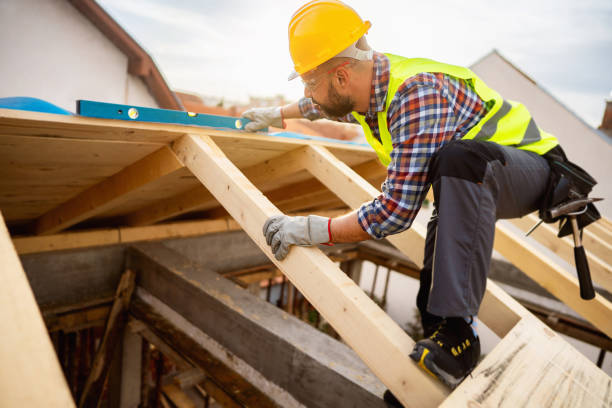 Roof Gutter Cleaning in Silver City, NM